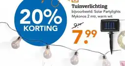 Blokker Tuinverlichting aanbieding