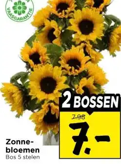 Vomar Voordeelmarkt Zonne- bloemen aanbieding