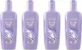 Bol.com Andrélon Zilver Care Shampoo - 4 x 250 ml aanbieding