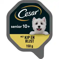 Jumbo Cesar Senior 10+ met Malse Kip en Rijst 150 g aanbieding