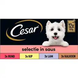 Jumbo Cesar Selectie in Saus 12 x 100 g aanbieding