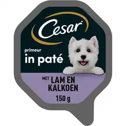 Jumbo Cesar Primeur Maaltijdkuipje - Lam & Kalkoen - Hondenvoer - 150 g aanbieding