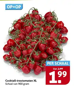 Hoogvliet Cocktail trostomaten XL aanbieding
