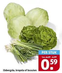 Hoogvliet Ijsbergsla, kropsla of bosuien aanbieding