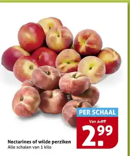 Hoogvliet Nectarines of wilde perziken aanbieding