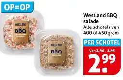 Hoogvliet Westland BBQ salade aanbieding