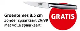 Hoogvliet Groentemes aanbieding