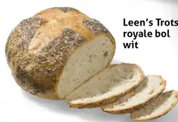 Hoogvliet Leen's Trots royale bol wit aanbieding