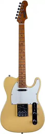 Bol.com JET JT-300 BTS T-style Elektrische Gitaar SS Vaste Brug Roasted Maple Toets Butterscotch aanbieding