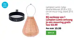 Intratuin Lampion Lumiz. Solar, diverse kleuren, Ø 20 x 22,5 cm en muur ring, zwart, Ø 12 cm. aanbieding