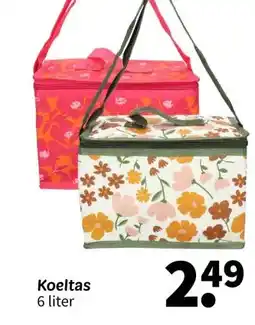 Wibra Koeltas aanbieding