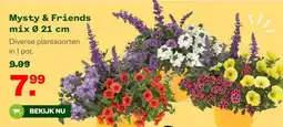 Welkoop Mysty & Friends mix aanbieding