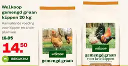 Welkoop Welkoop gemengd graan kippen aanbieding