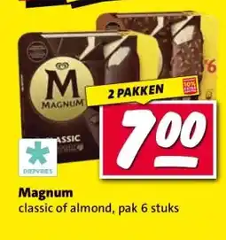 Nettorama Magnum aanbieding