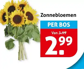 Hoogvliet Zonnebloemen aanbieding