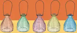 Marskramer Wespenvanger glas 9x13cm 5 assortiment aanbieding