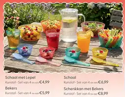 Marskramer Schaal plastic met lepel assorti aanbieding