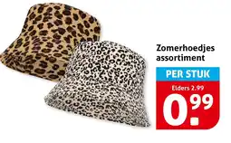 Hoogvliet Zomerhoedjes assortiment aanbieding