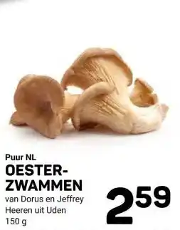 Ekoplaza OESTER- ZWAMMEN aanbieding