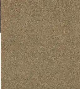 Budget Home Store Vloerkleed Salsa olijfgroen 170x230cm aanbieding