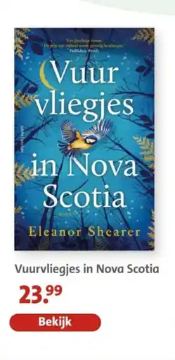 Bruna Vuurvliegjes in Nova Scotia aanbieding