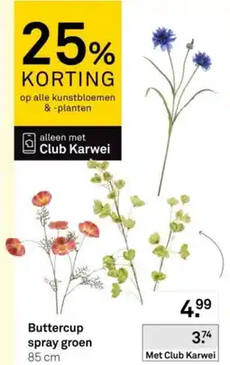 Karwei Buttercup spray groen aanbieding