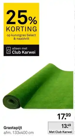 Karwei Grastapijt aanbieding