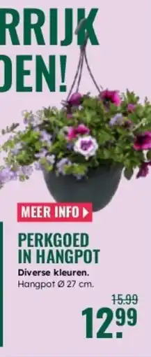 GroenRijk Perkgoed in hangpot aanbieding