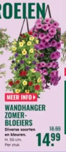 GroenRijk Wandhanger zomer- bloeiers aanbieding