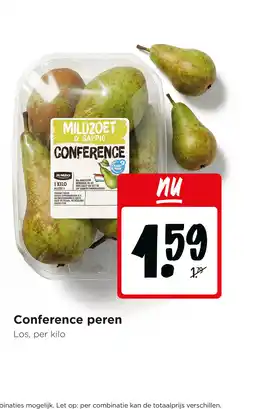 Jumbo Conference peren aanbieding