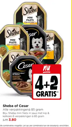 Jumbo Sheba of Cesar aanbieding