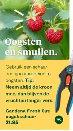 Welkoop Oogsten en smullen. aanbieding