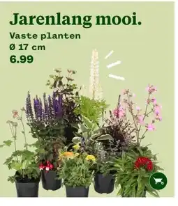 Welkoop Jarenlang mooi. aanbieding