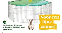 Welkoop Welkoop konijnenren aanbieding