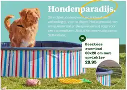 Welkoop Beeztees zwembad aanbieding