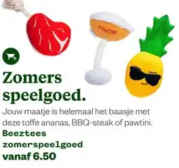 Welkoop Zomers speelgoed. aanbieding
