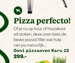 Welkoop Pizza perfecto! aanbieding