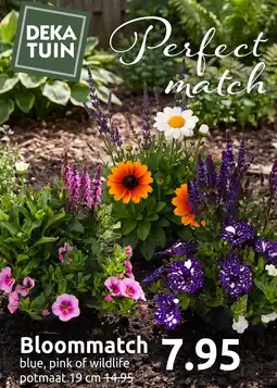 Deka Tuin Bloommatch aanbieding