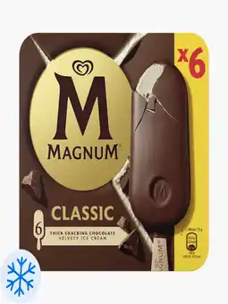 Flink Magnum Classic 6st aanbieding
