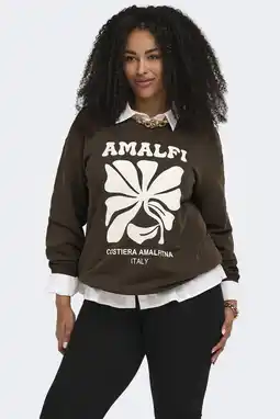 Wehkamp ONLY CARMAKOMA sweater donkerbruin aanbieding