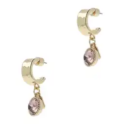 Wehkamp Otazu gold plated oorbellen Blush Rose aanbieding