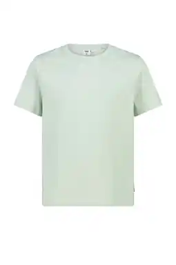 Wehkamp America Today T-shirt mintgroen aanbieding