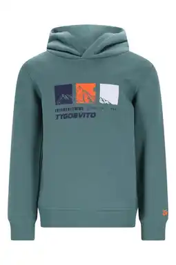 Wehkamp TYGO & vito hoodie groen aanbieding