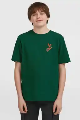 Wehkamp O'Neill T-shirt donkergroen aanbieding