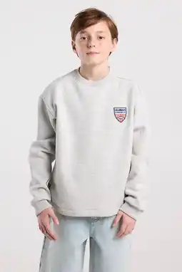 Wehkamp America Today sweater lichtgrijs aanbieding
