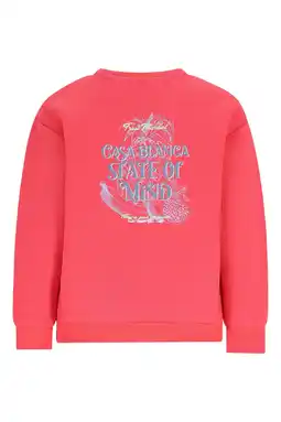 Wehkamp Like Flo Boys sweater met backprint roze aanbieding
