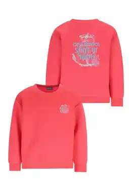 Wehkamp Like Flo Boys sweater met backprint roze aanbieding