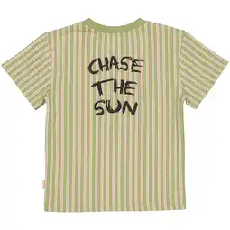 Wehkamp QPI gestreept T-shirt met backprint groen aanbieding