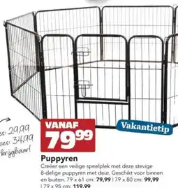 Discus Puppyren aanbieding