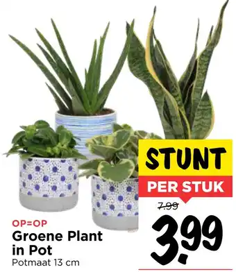 Vomar Voordeelmarkt Groene Plant in Pot 13cm aanbieding